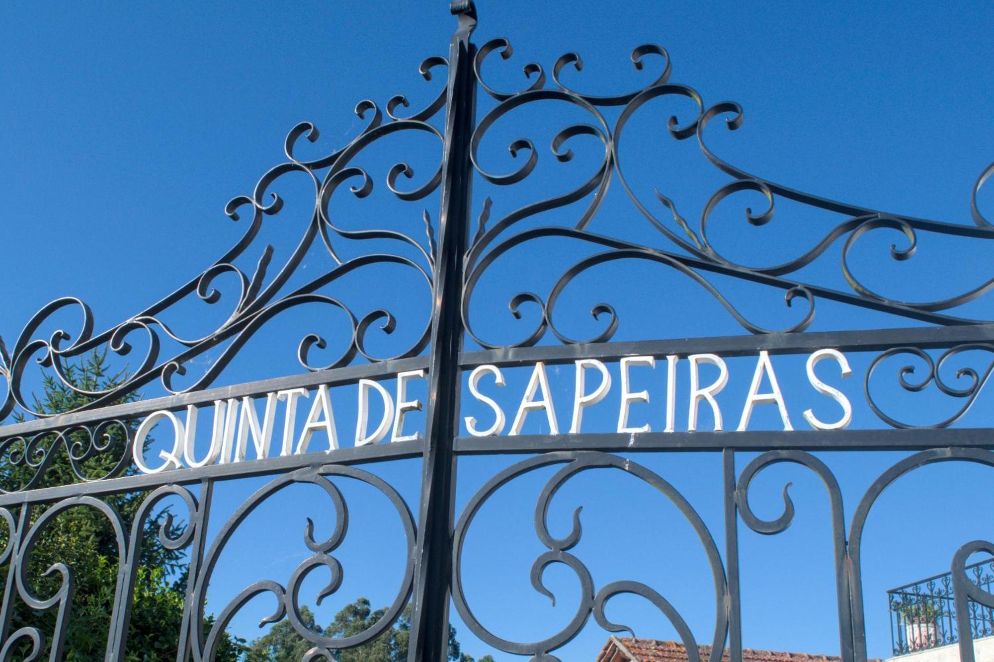 Casa Das Sapeiras Penafiel Eksteriør billede
